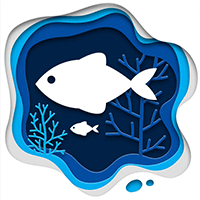 ��� ����