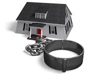 ����� / �����: shutterstock