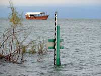 ������  /  �����: ��� ����