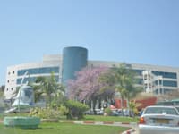 ��� ������ ���� ���� (��� �����) / �����: ��� ����