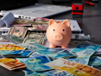 ������ ���� ������� / ����������: Shutterstock, Lady_Luck