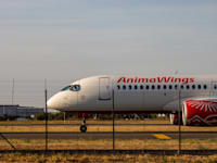 ����������� ����� �� ��� ������ / �����: Shutterstock