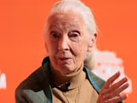 �''� �'��� ����� / �����: Reuters