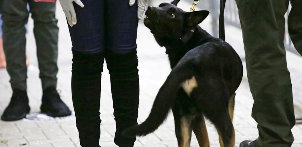 ���� ��� ��� ����� �����