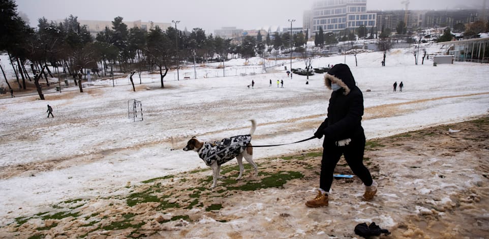 ���� ����� ���� ������