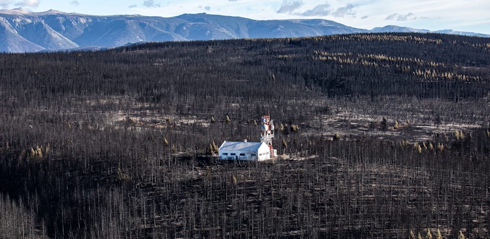 ����� ���� �����