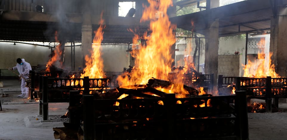 �������� ���� �����