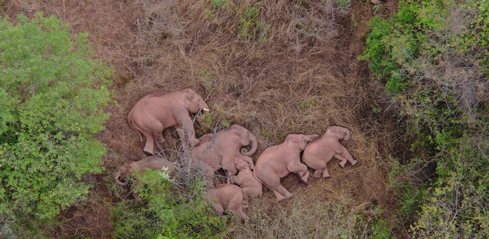 15 ����� ���� ������ ����