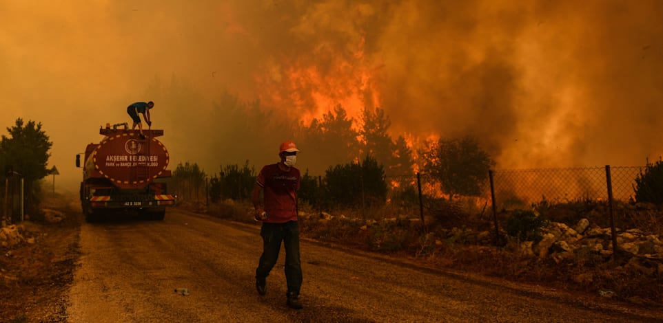 ���� ������ ���� �������