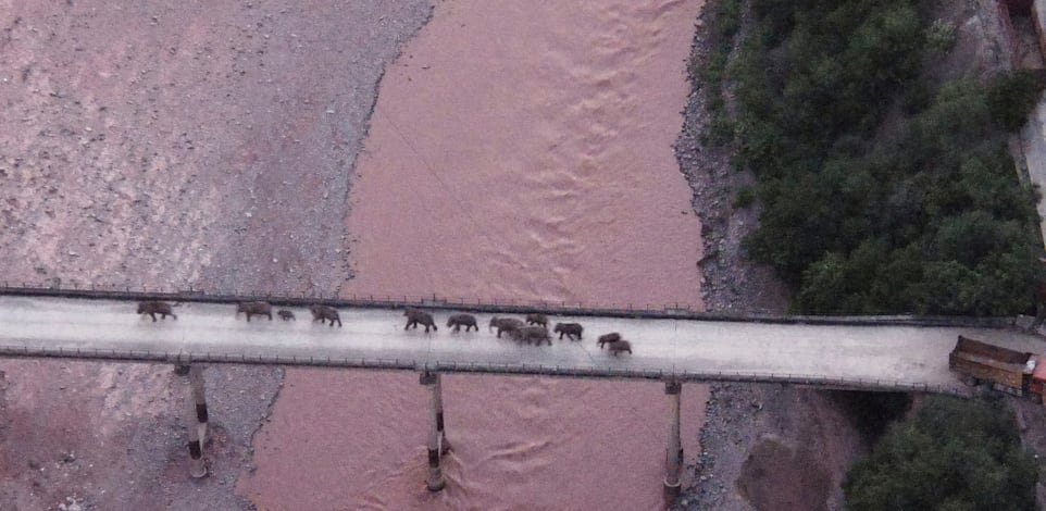 ���� �����