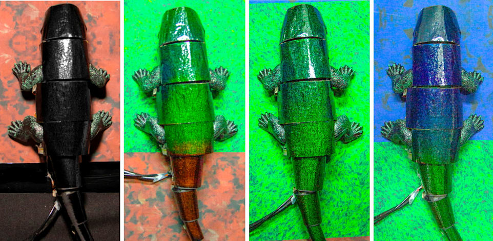 ����� ������ ����� ��� ����� �����