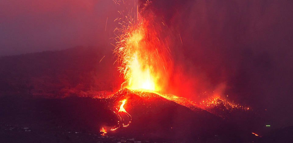 ��� ���� ������ ������ �������