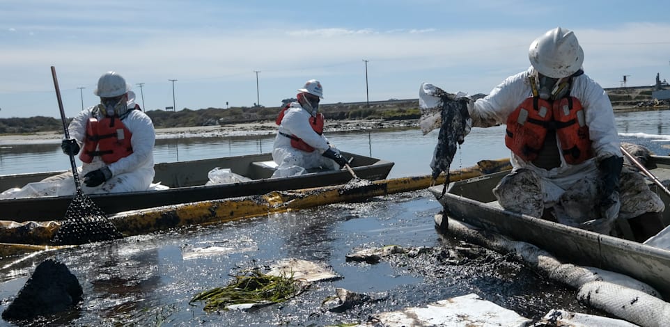 ��� ���� ������