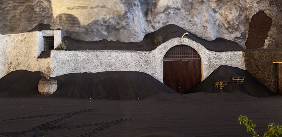 ���� ����� �����