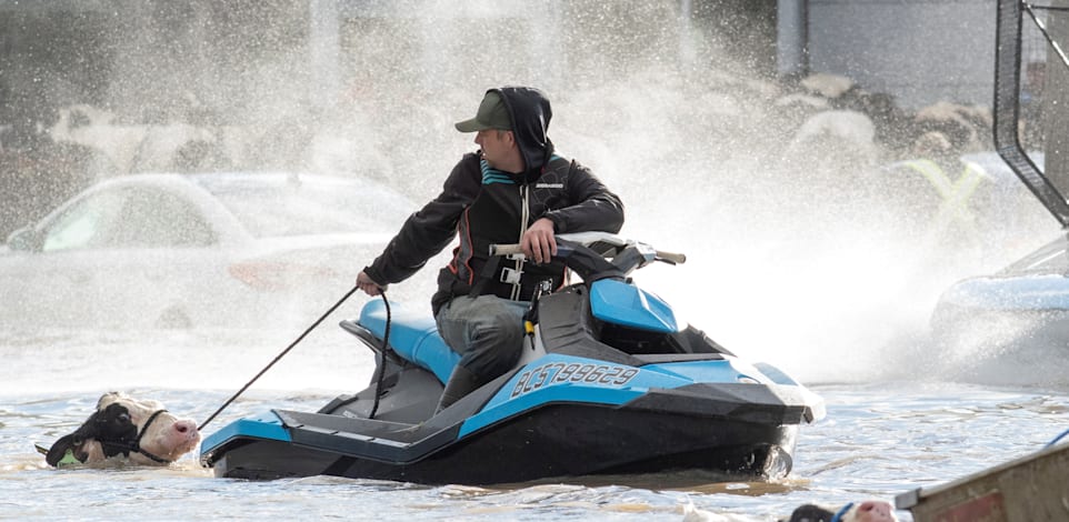 ������� ���� �����