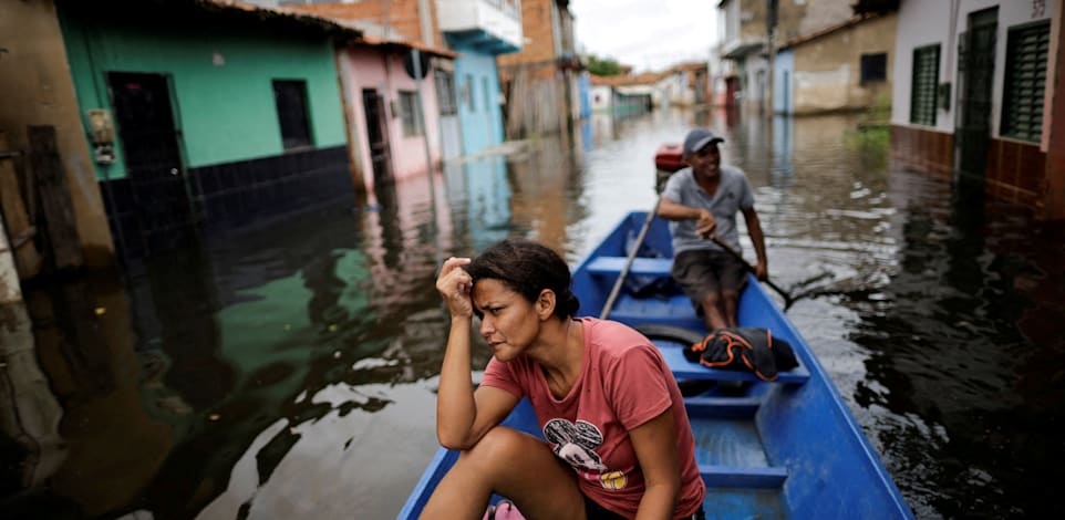 ���� ����� �������