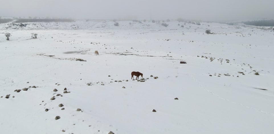 ����� �� �����