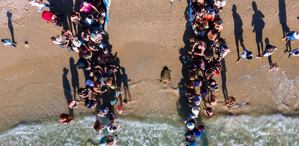 ��� ����������� ���������