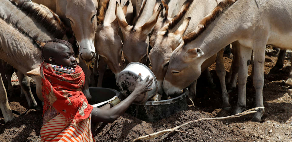 ���� ���� �����