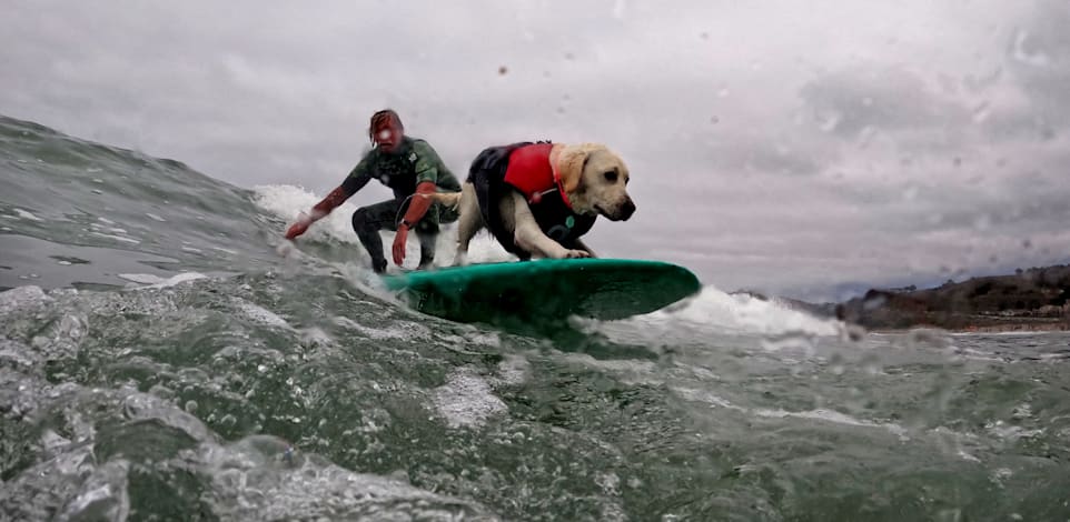 ����� �� 4