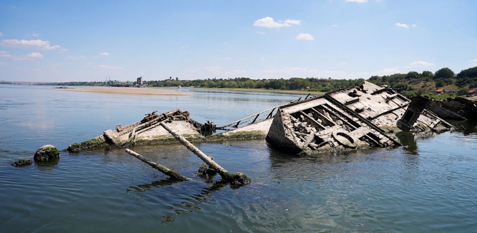 ���� ���� �� ������ ������