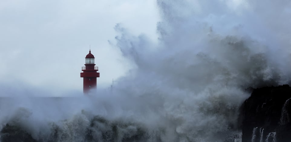 ���� ������ ����� ������