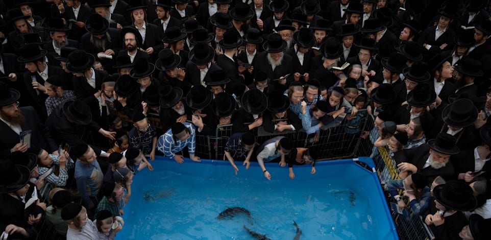 ��� ����� ����