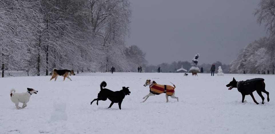 �� ��� ���� ��������