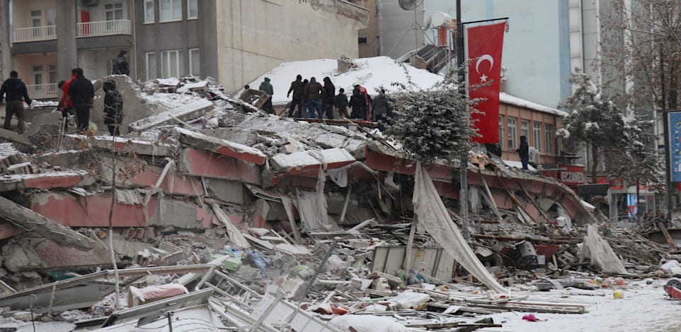 ���� ������� �������