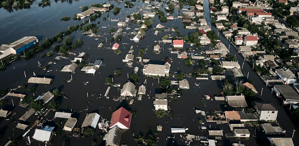 ���� ���������