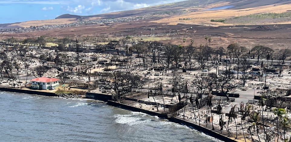 ����� ������ ������