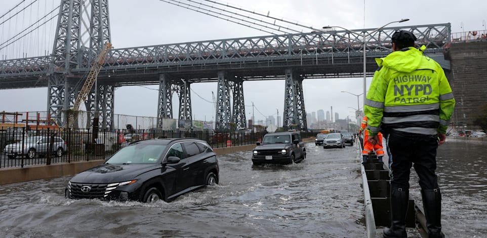 ��� ���� ���� ����