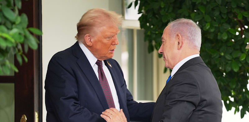 ����� ������� ���� ����, ���� / �����: ap, Evan Vucci