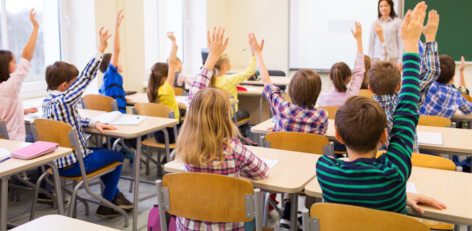 Primary school class  credit: Shutterstock