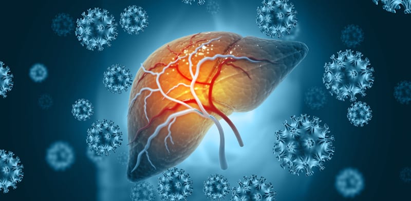 Fatty liver credit: Shutterstock