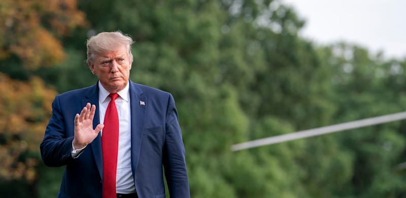 US President Donald Trump  credit: Shutterstock