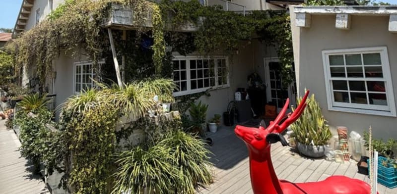 Zvika Hadar's Tel Aviv house credit: Daniel Kalina