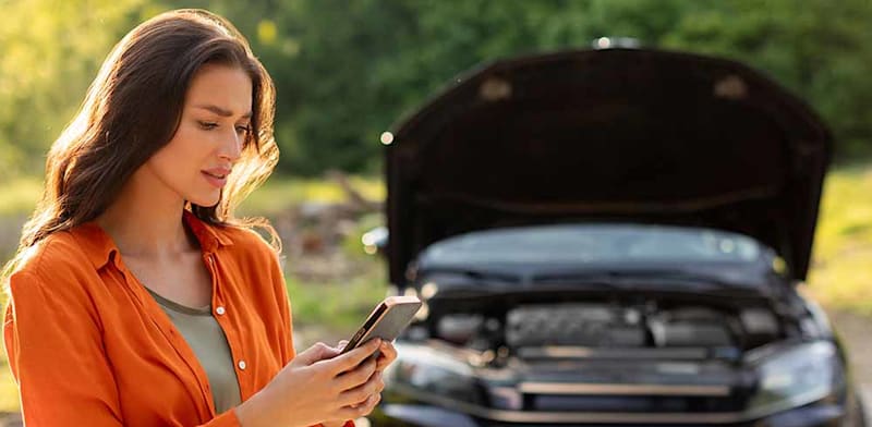 �����: Shutterstock