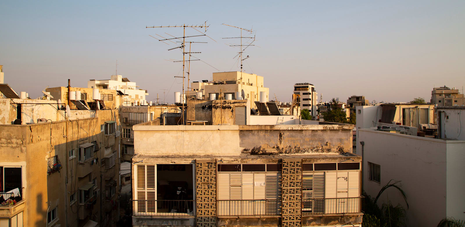 �����: Shutterstock, Olga Mazo