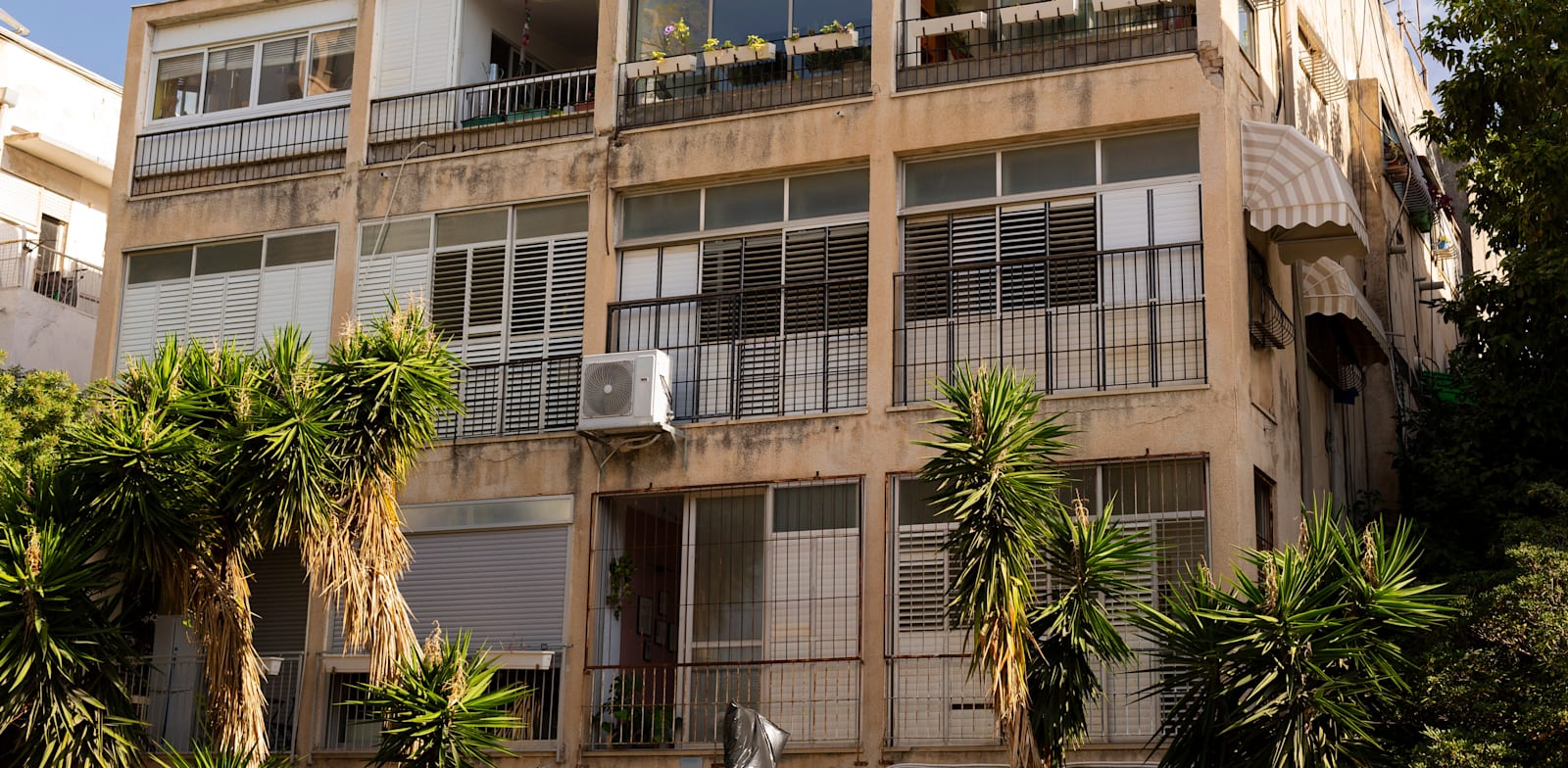 �����: Shutterstock