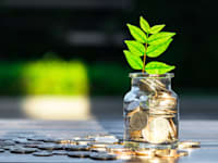 ��� ������ / ����������: Shutterstock