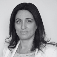 �����: ��� ����