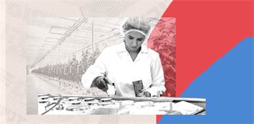 ������� �� ���� �����/ ����� ����� ���� ���