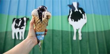 �� ��� �'��� / ��� ���� ��� �� ���