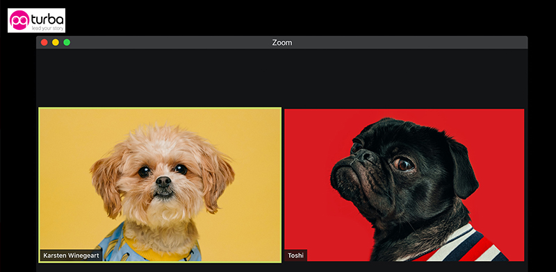 ������ ����� ����� ����� ����� ��� ������ ��� ���� ����� / �����: Unsplash