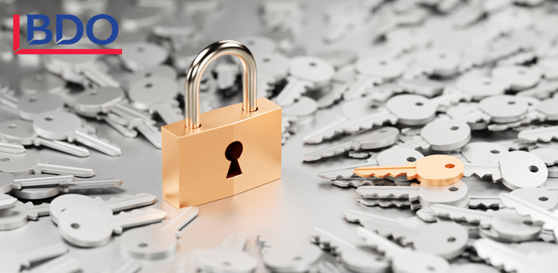 bdo ����� �������