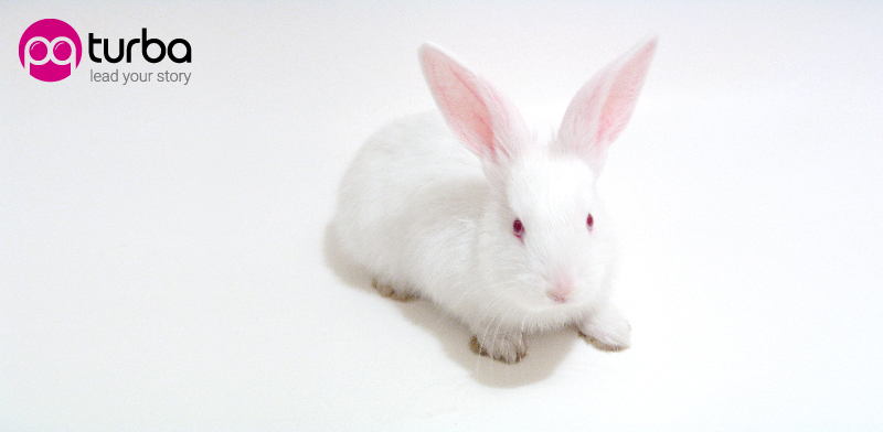 ��� ���� ��������