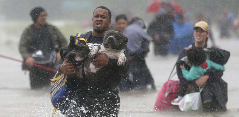 ������ ������  / �����: ������